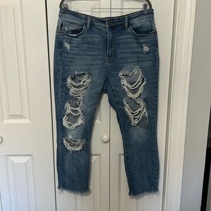 Judy Blue Destroyed Crop Jeans